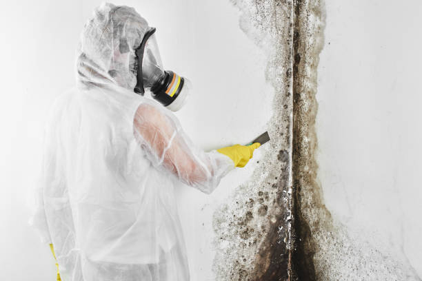 Mold Remediation for Vacation Homes in Grabill, IN